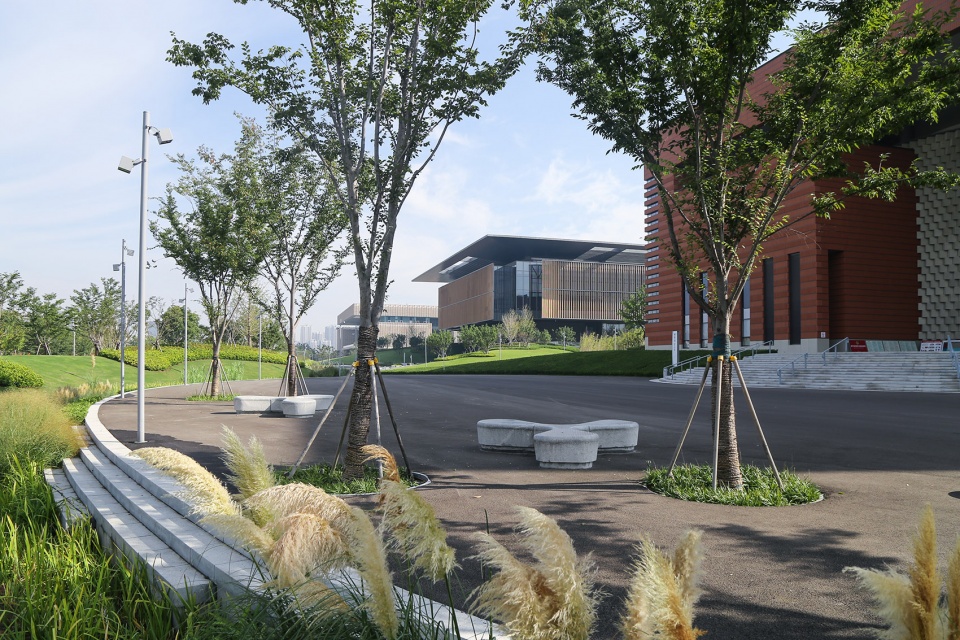 Landscape of Jining Cultural Center Phase I LDG