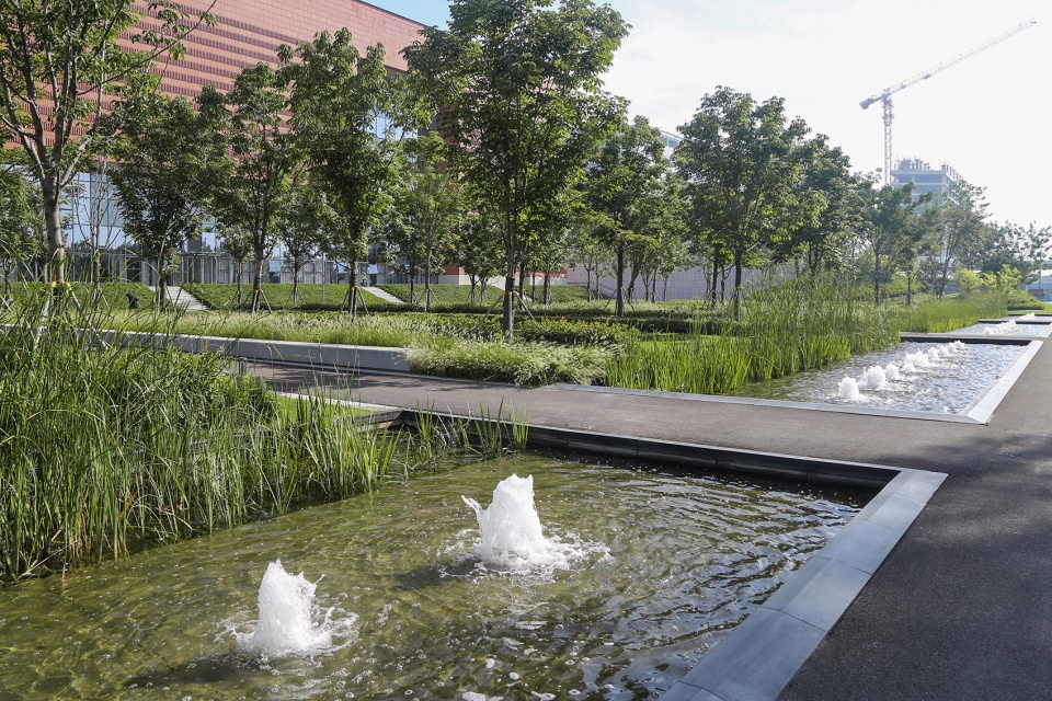 Landscape of Jining Cultural Center Phase I LDG