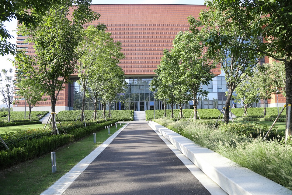Landscape of Jining Cultural Center Phase I LDG