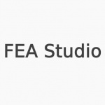 FEA studio