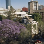 Condesa DF酒店，墨西哥城 / Javier Sánchez + India Mahdavi