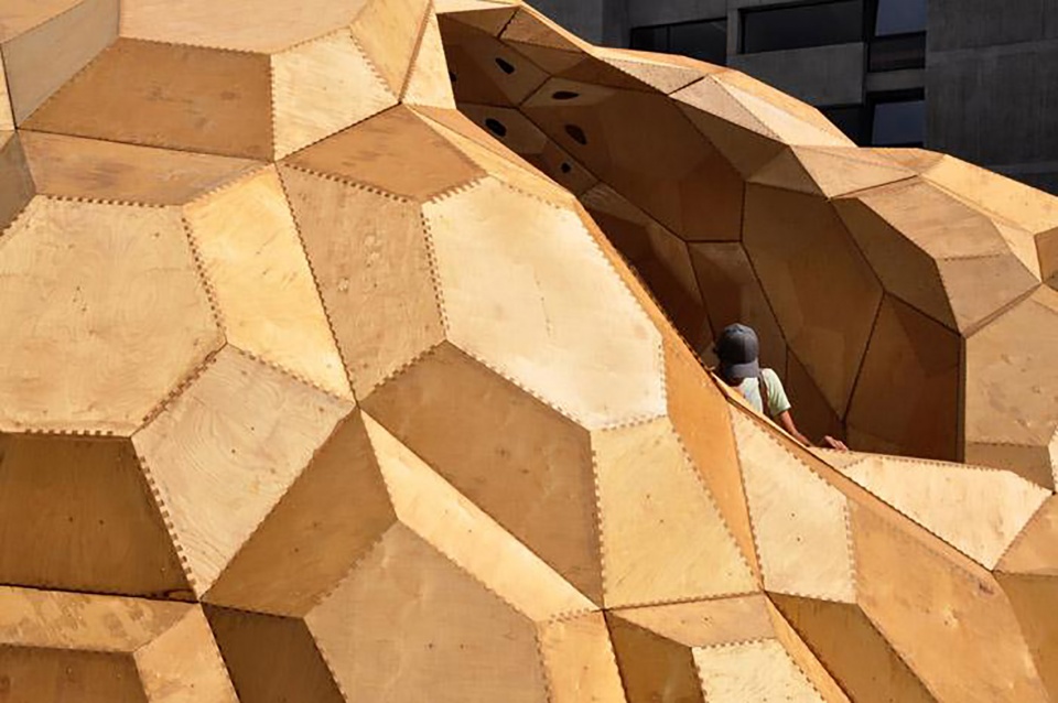 Biomimetic Architecture