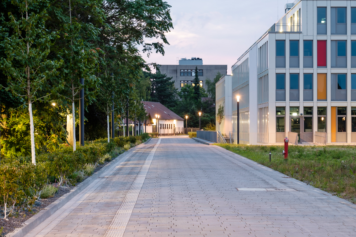 university campus open spaces poppelsdorf by sinai