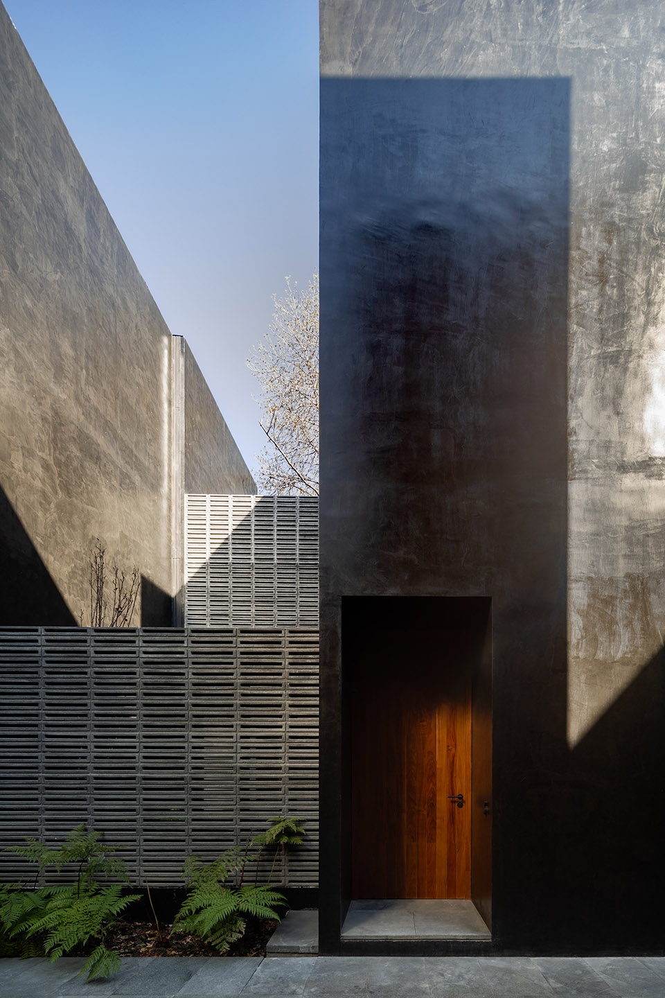 CARRIZAL by PPAA