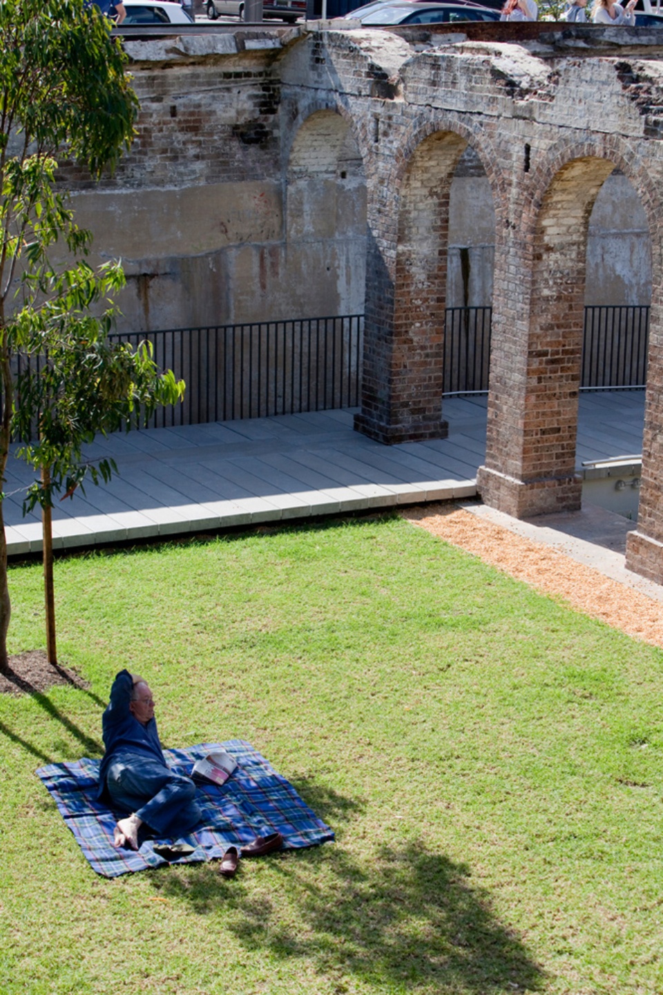 paddington reservoir gardens by tonkin zulaikha greer jmd design