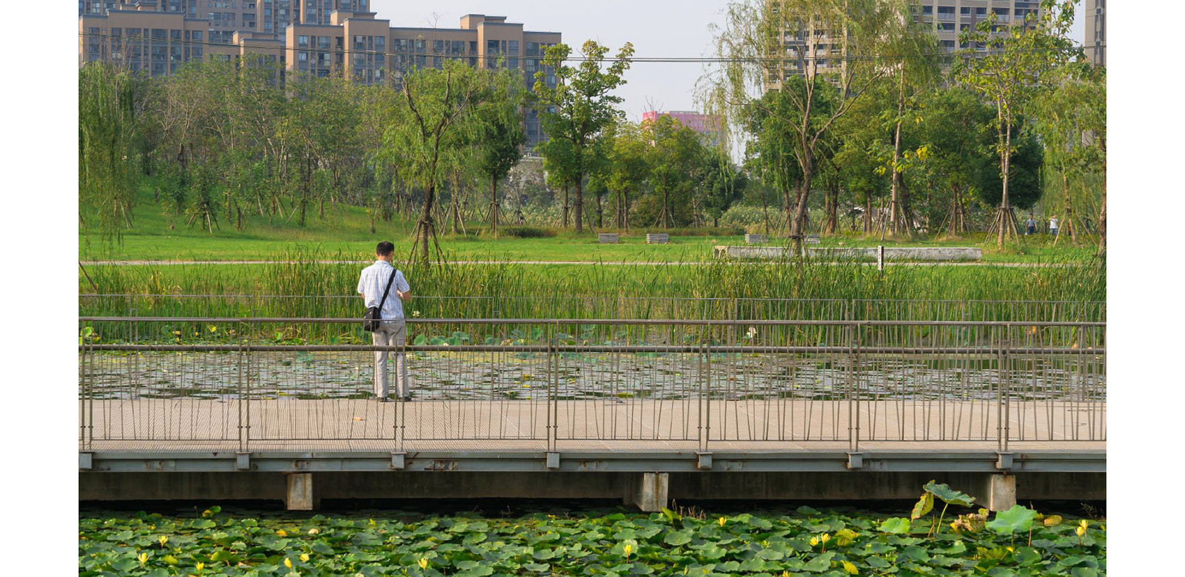 2020 ASLA URBAN DESIGN AWARD OF HONOR: Jiading Central Park By Sasaki ...