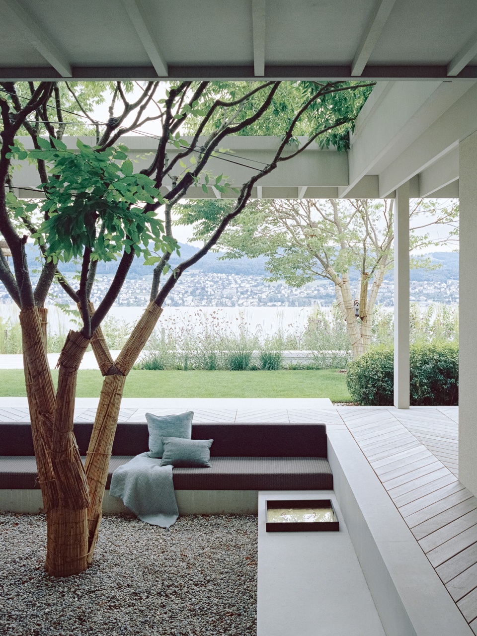 house at a vineyard by think architecture
