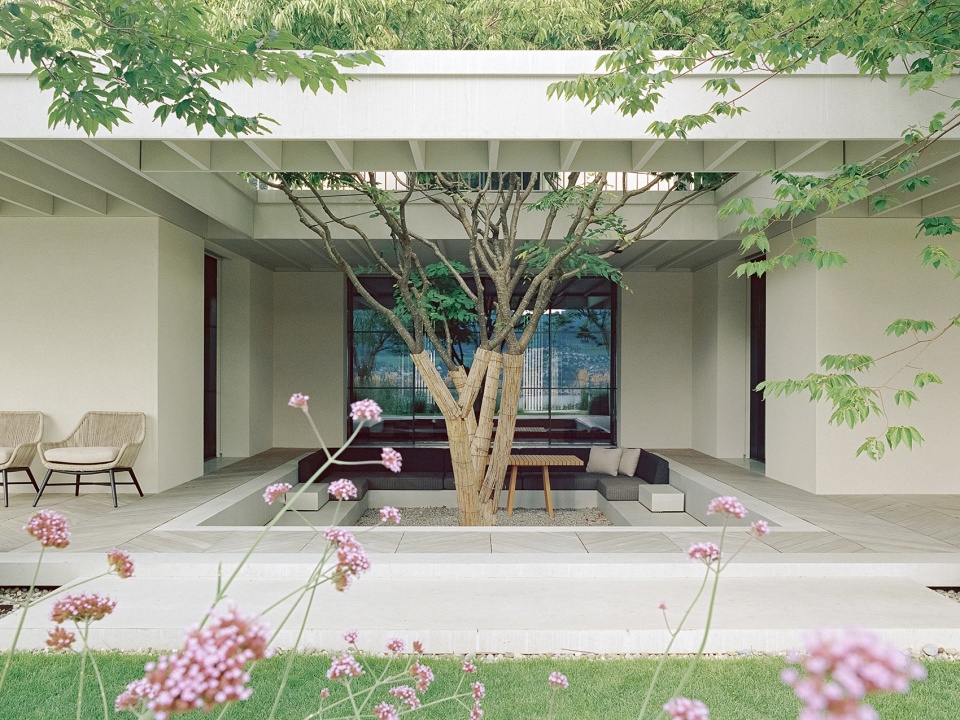 house at a vineyard by think architecture