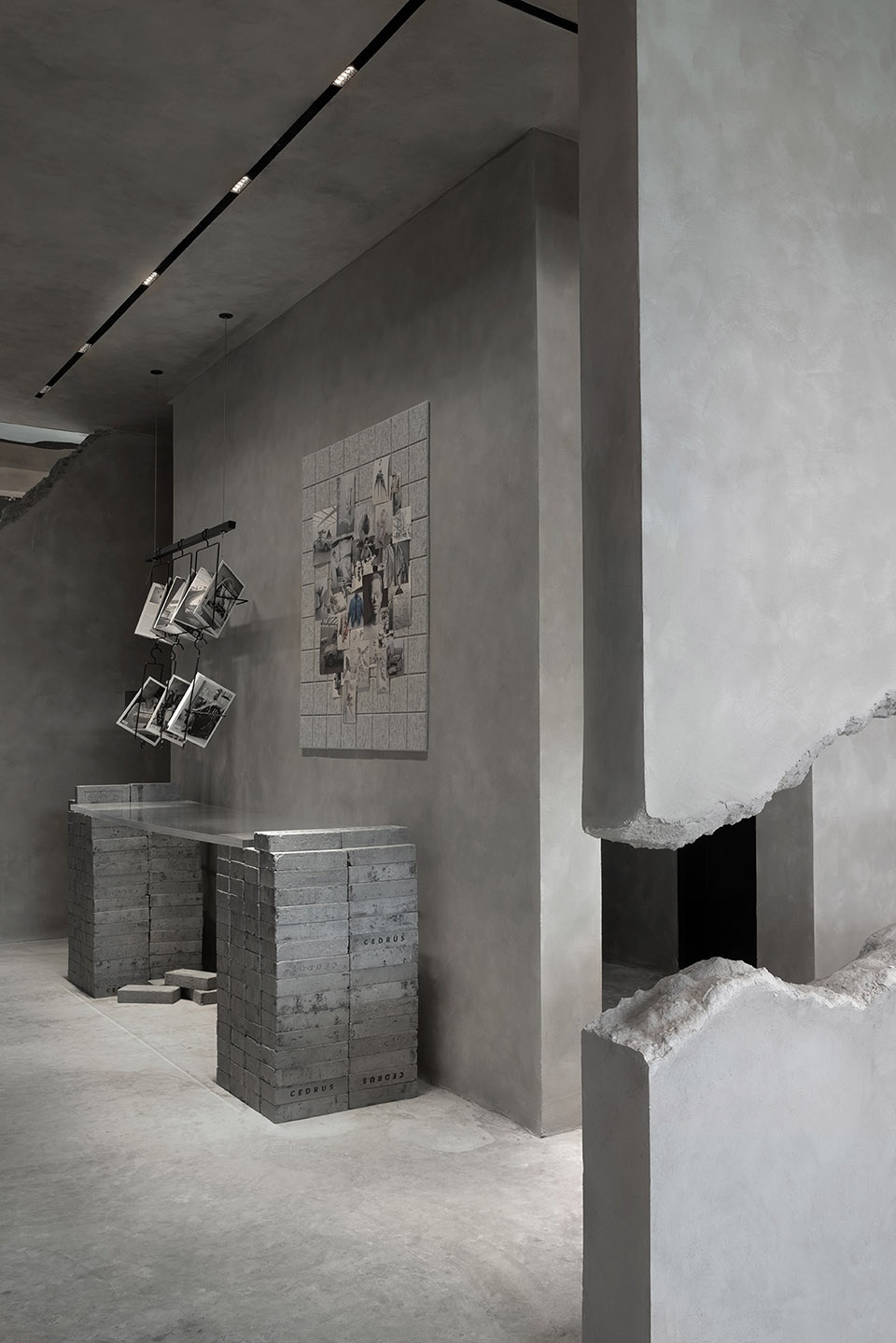 niche shop of cedrus in beijing by dpd