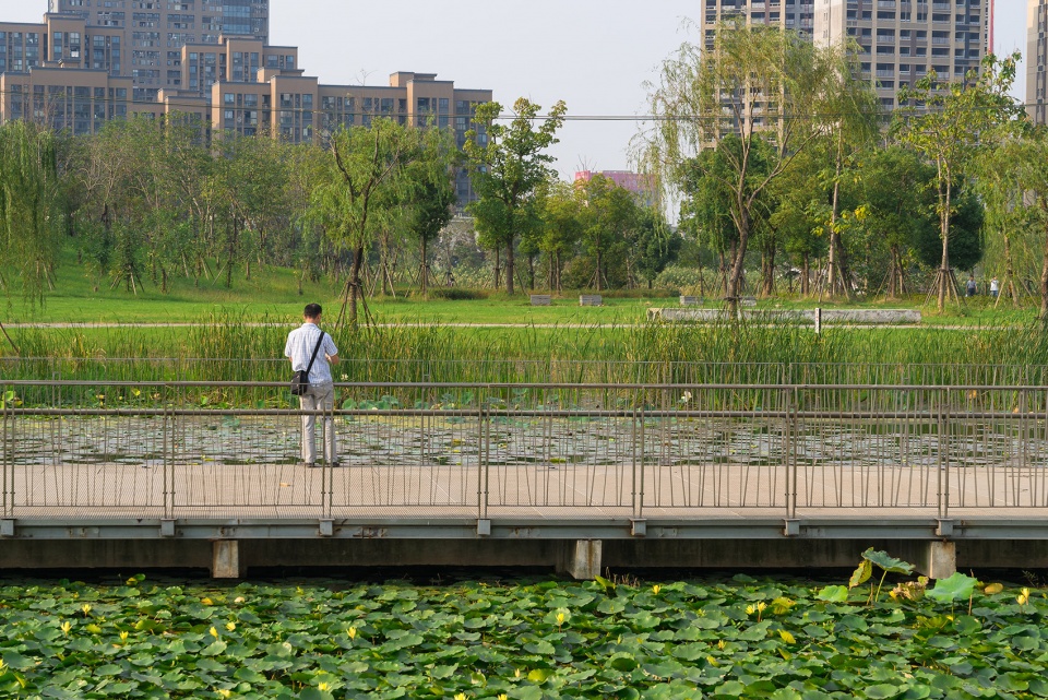 2020 urban design award of honor jiading central park by sasaki