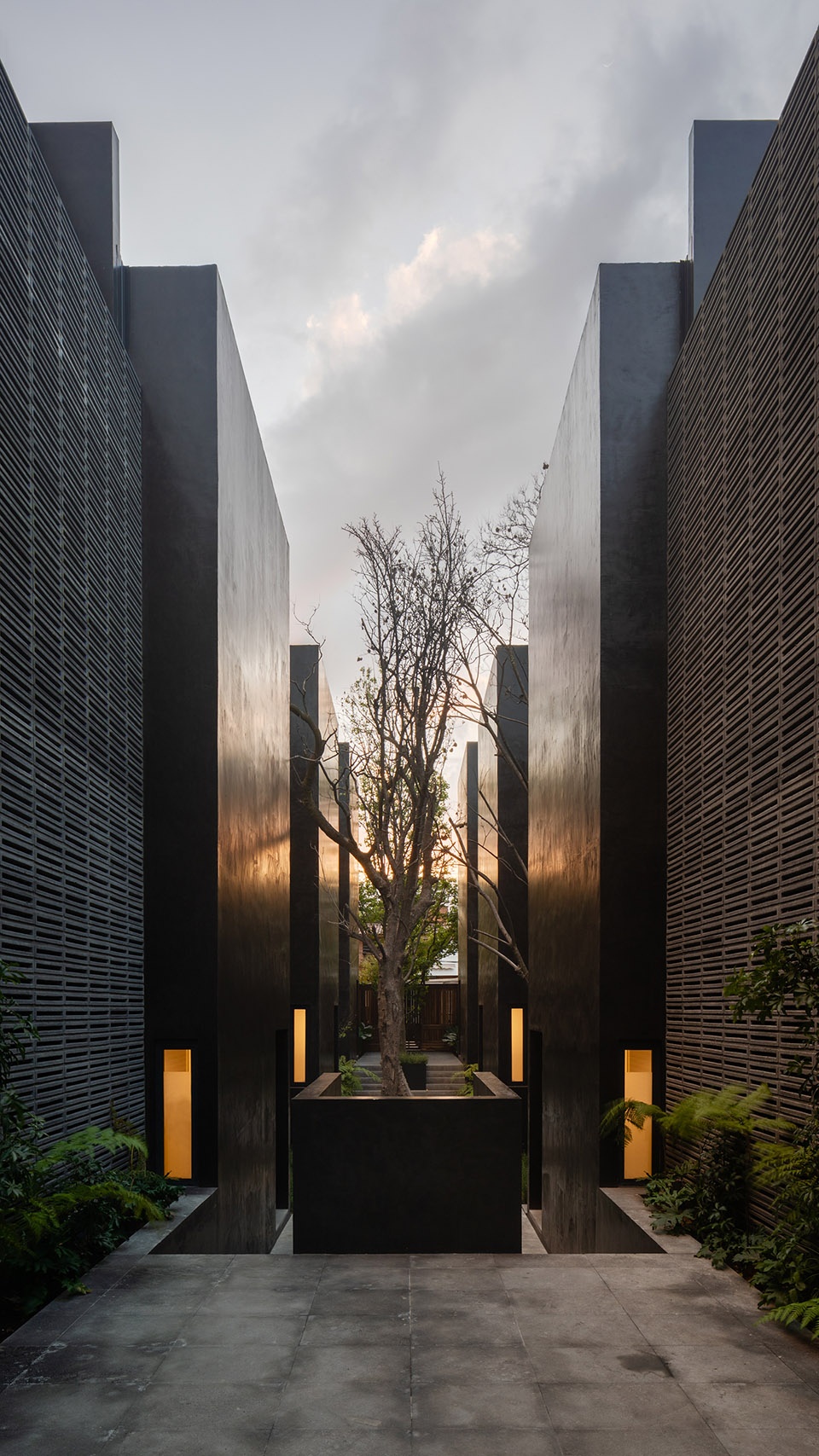 CARRIZAL by PPAA