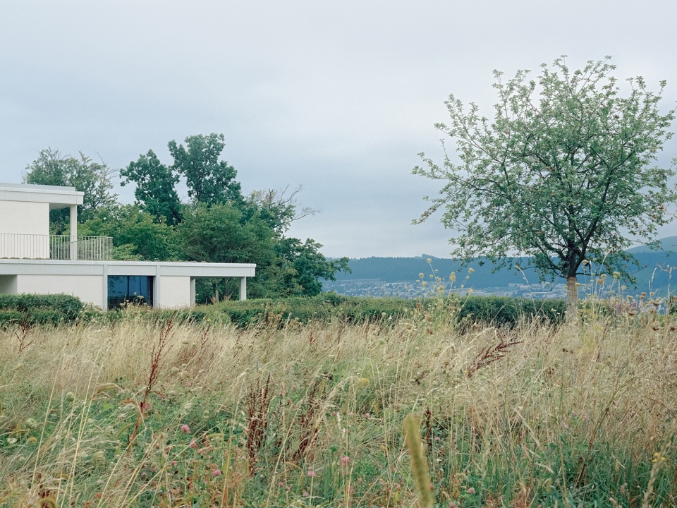 house at a vineyard by think architecture