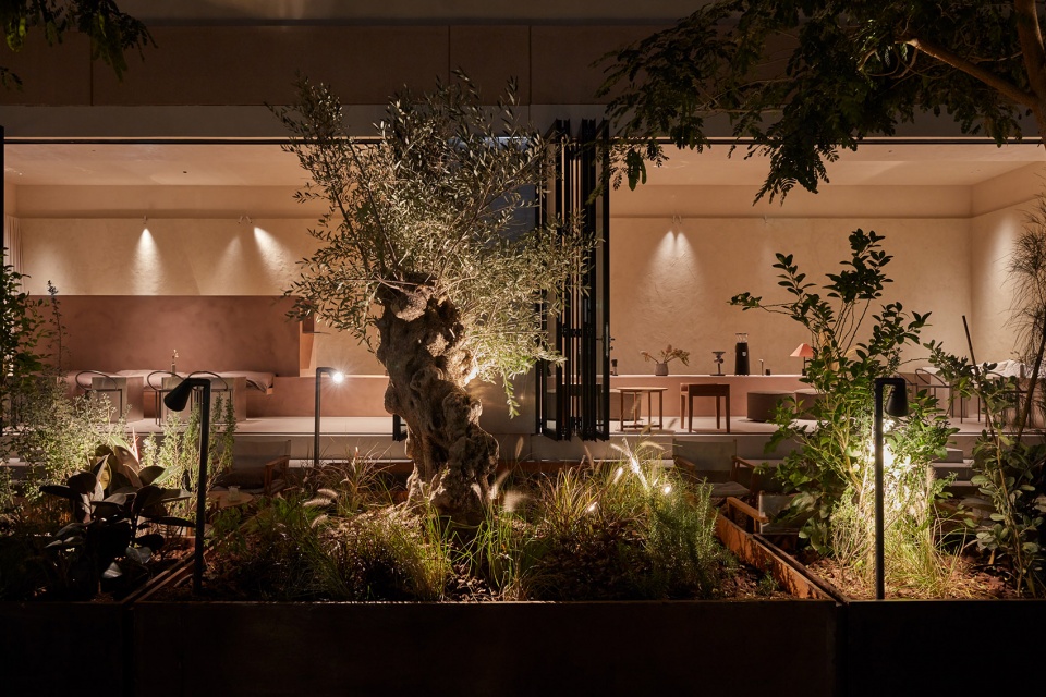 La Petite Bone Studio