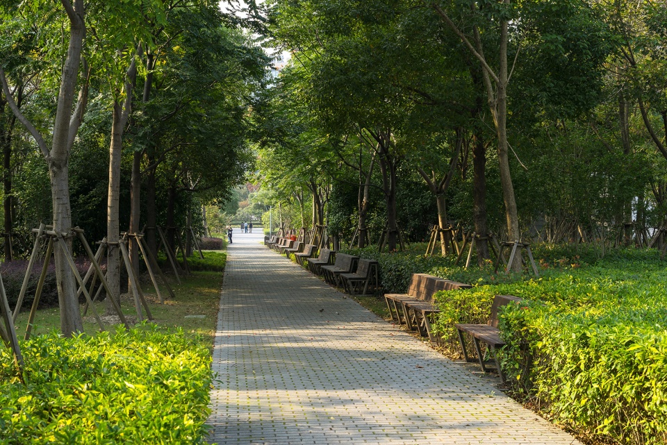 2020 urban design award of honor jiading central park by sasaki
