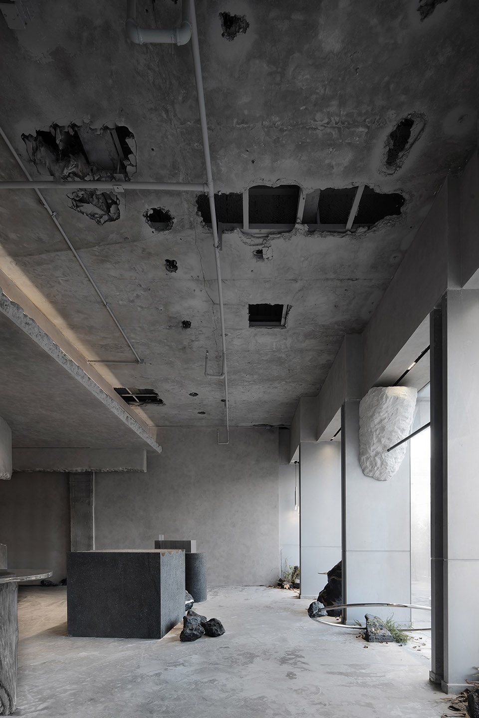 niche shop of cedrus in beijing by dpd