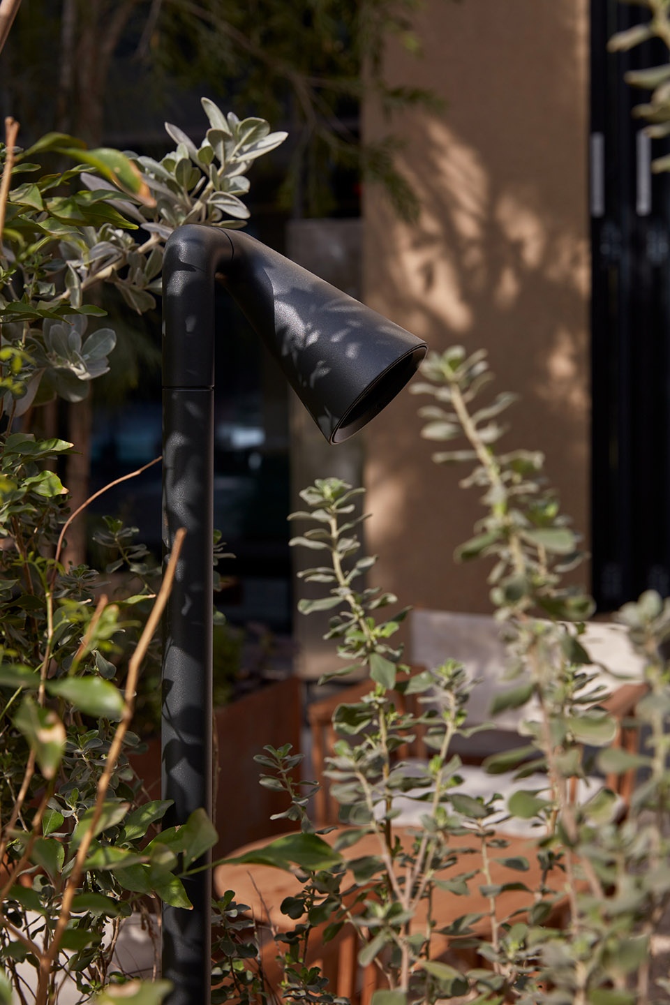 La Petite Bone Studio