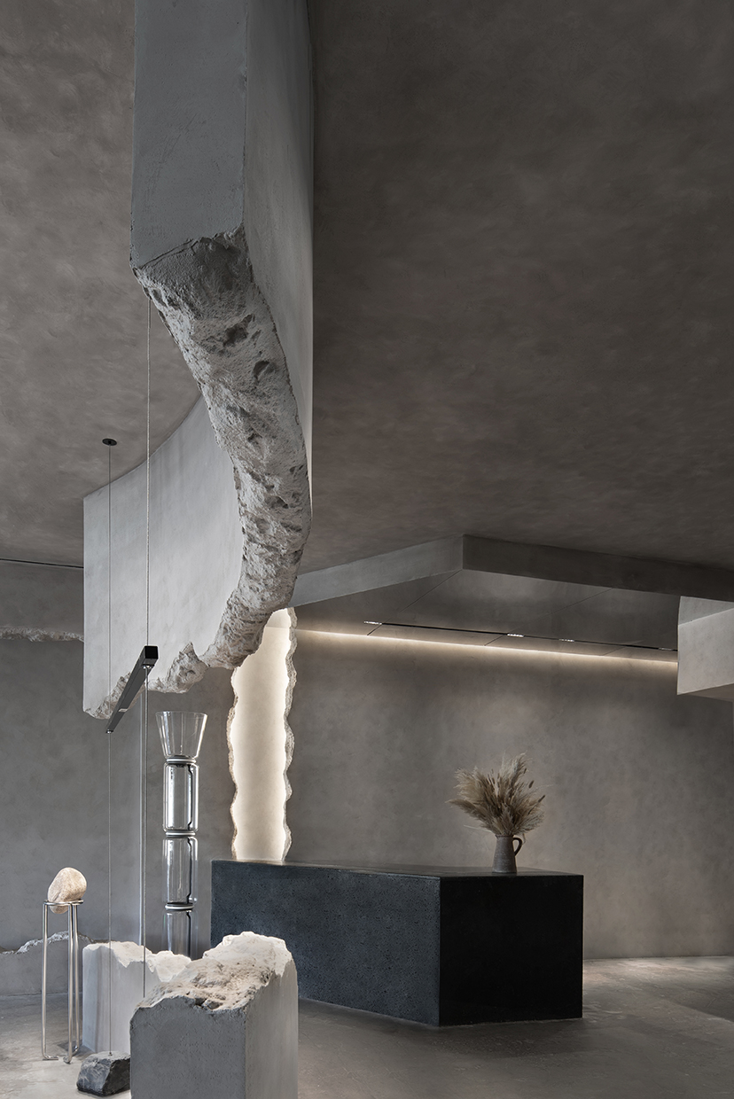 niche shop of cedrus in beijing by dpd