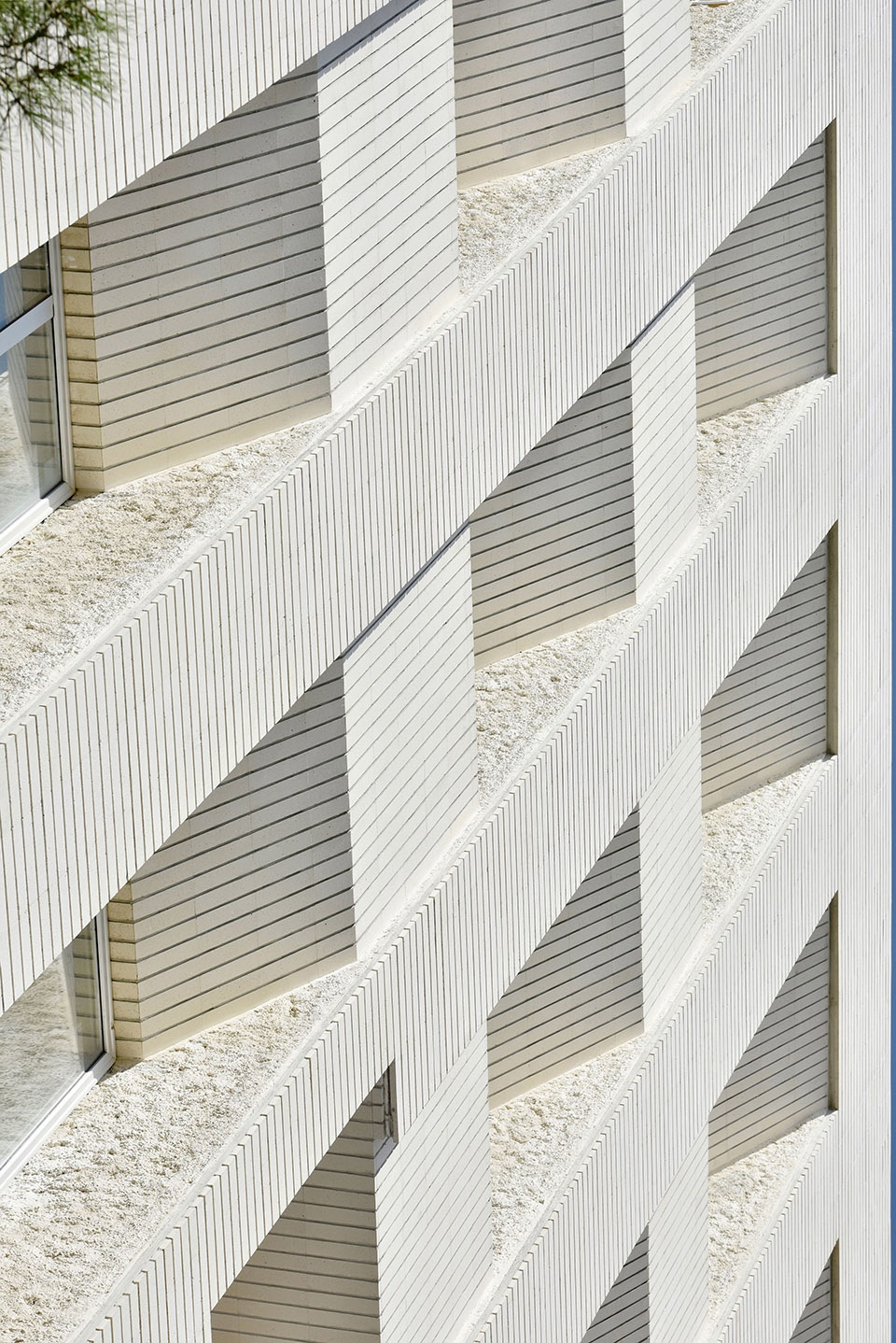 The Moment Pi architects
