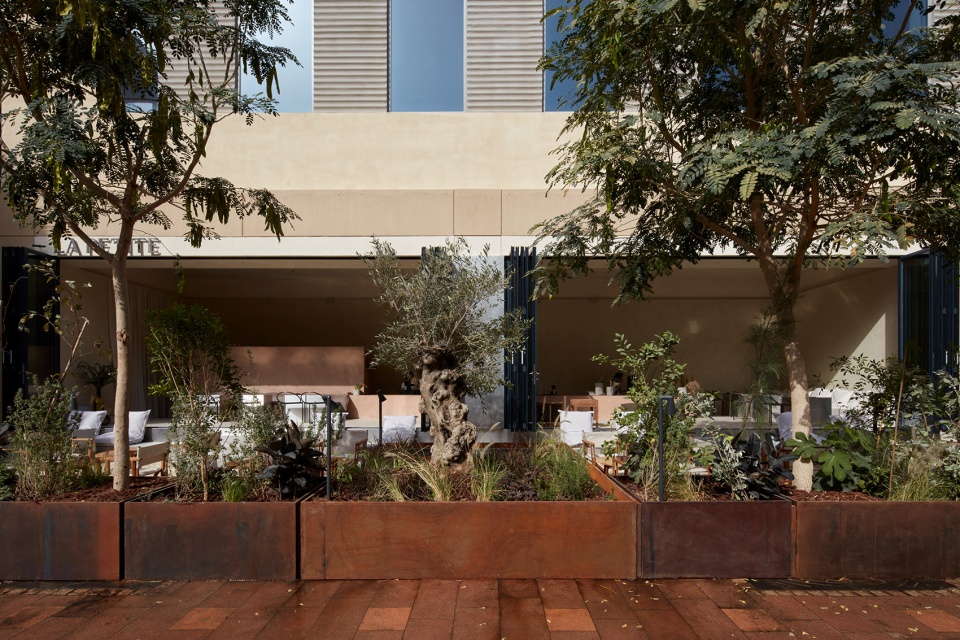 La Petite Bone Studio
