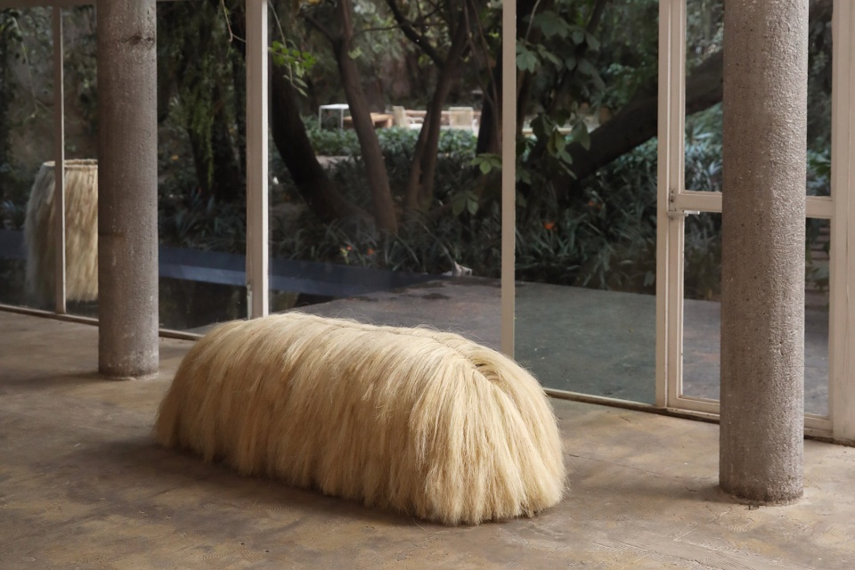 pink beasts and sisal sanctum by fernando laposse