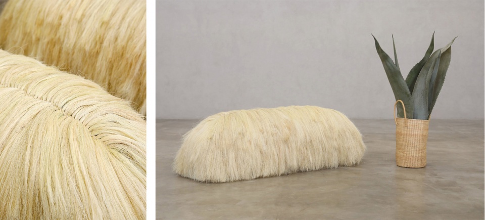 pink beasts and sisal sanctum by fernando laposse