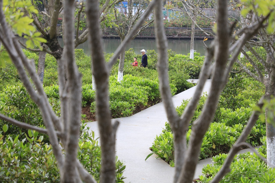 meishe river greenway and fengxiang park haikou china by turenscape