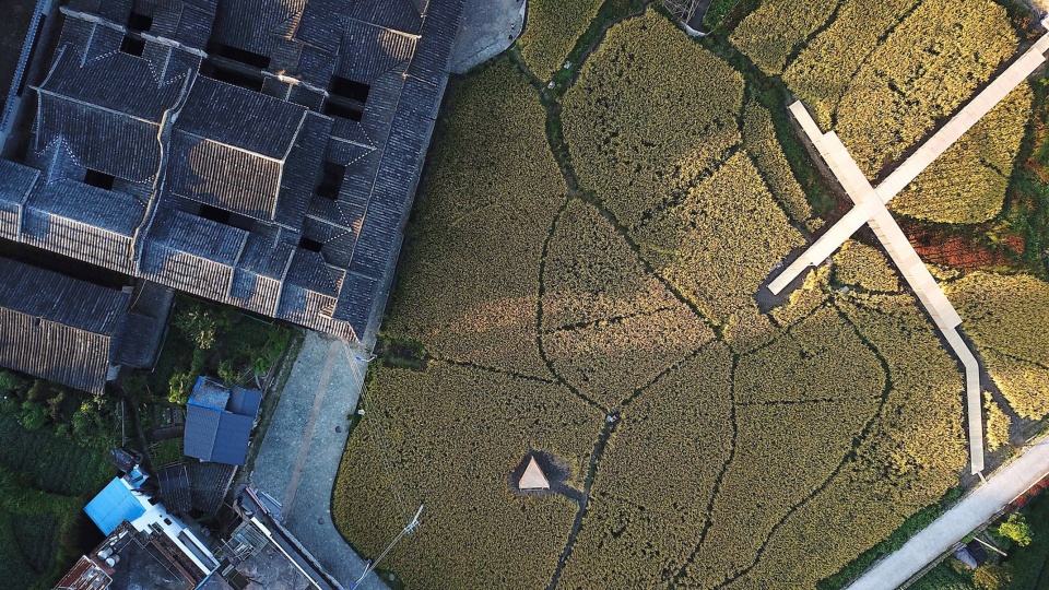 rice pavilion in fujian china by wiki world advanced architecture lab