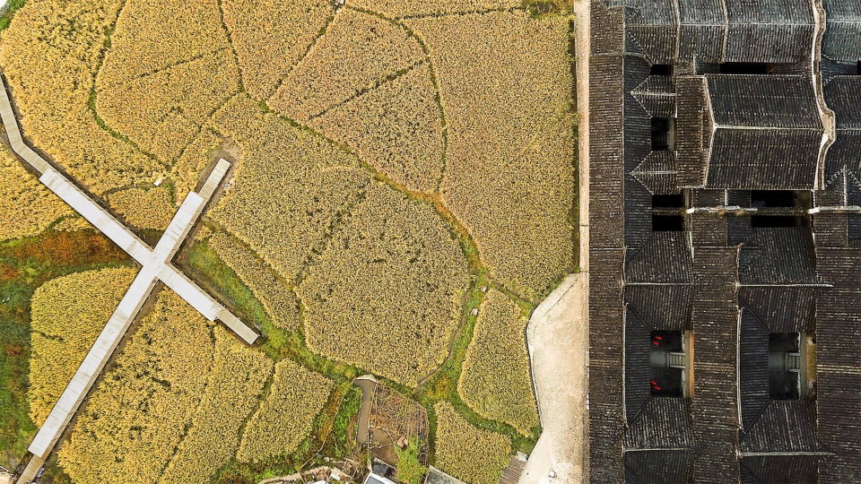 rice pavilion in fujian china by wiki world advanced architecture lab