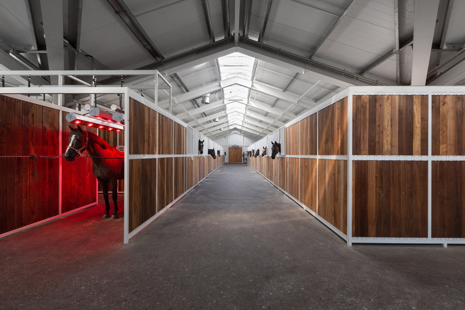 ▼马厩内部,the stables08andrey avdeenko▼室内马场与三个"手指"