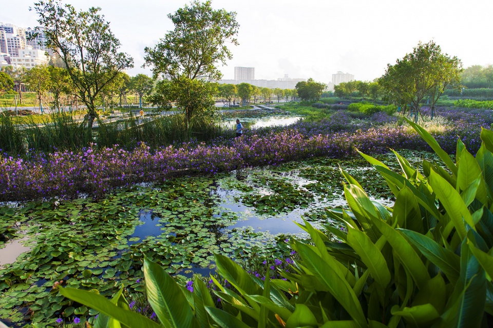 meishe river greenway and fengxiang park haikou china by turenscape