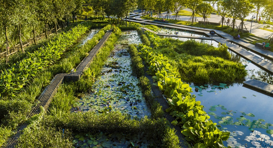 meishe river greenway and fengxiang park haikou china by turenscape