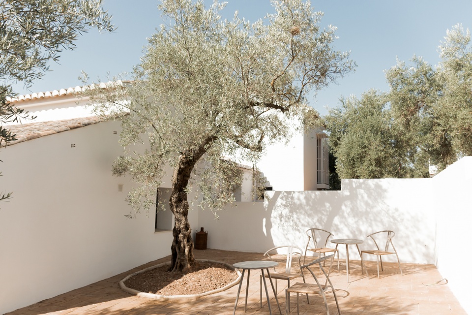 rural hotel in an olive grove by gana arquitectura