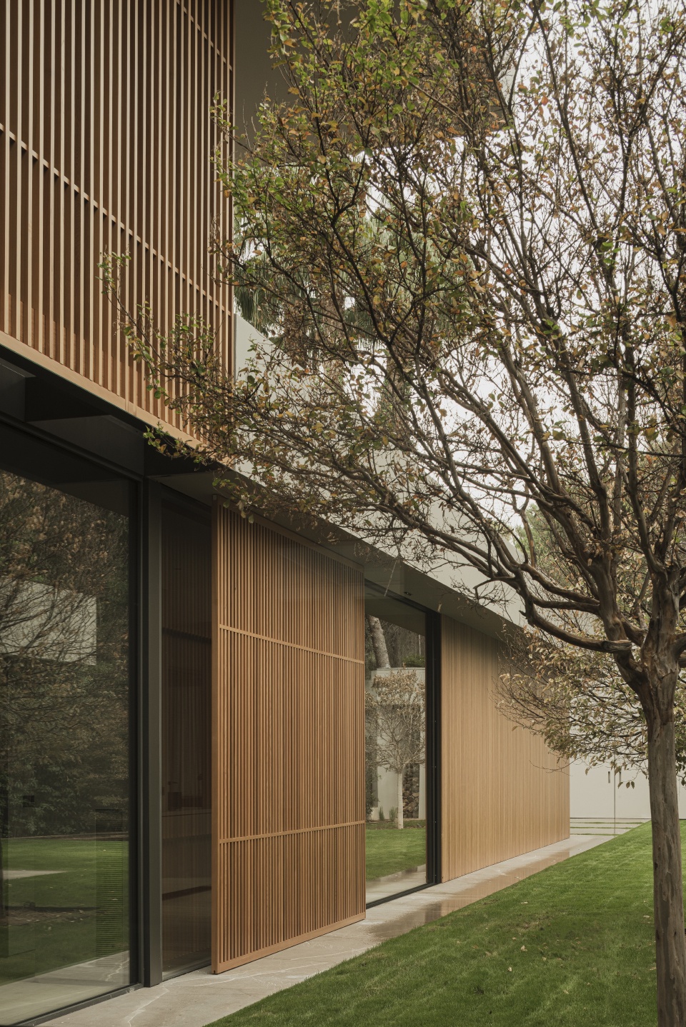 t house by francesc rife studio