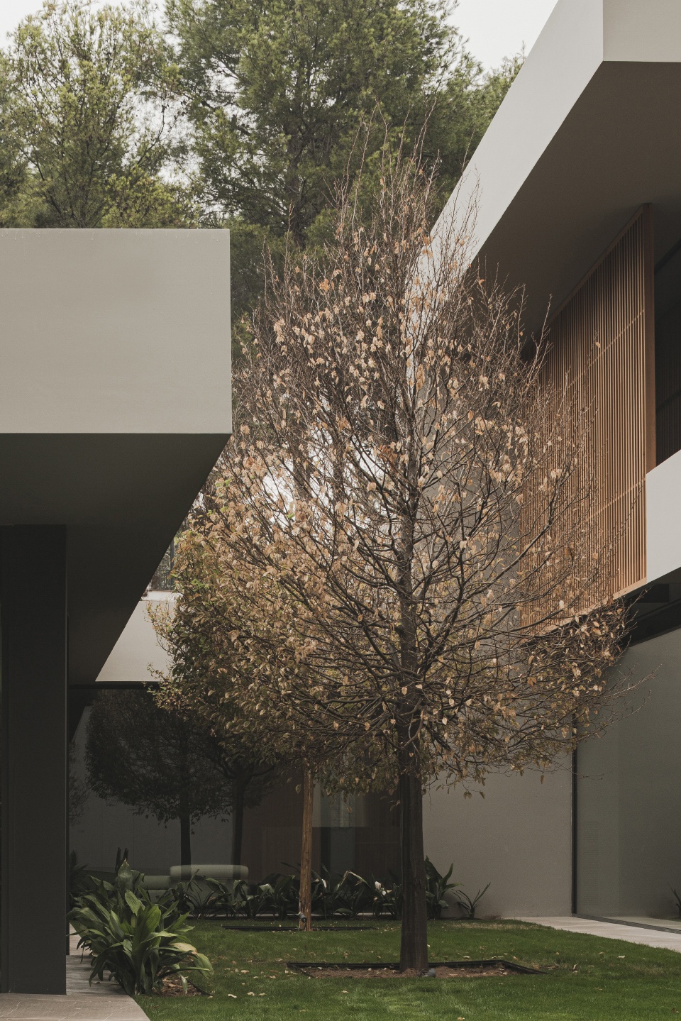 t house by francesc rife studio 1