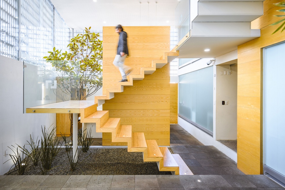 wol center by ivan marin arquitectura doho constructivo