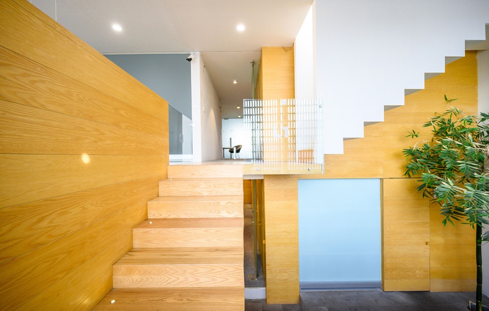 wol center by ivan marin arquitectura doho constructivo