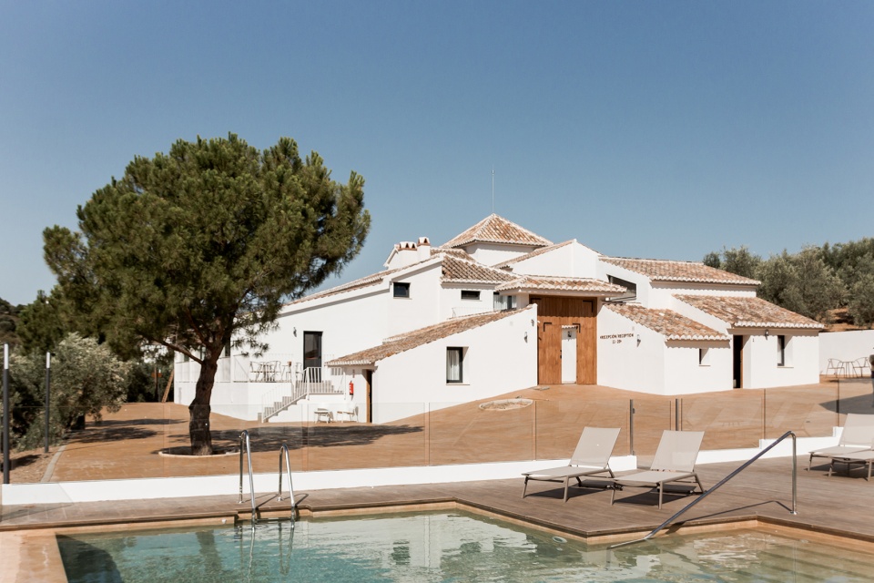 rural hotel in an olive grove by gana arquitectura