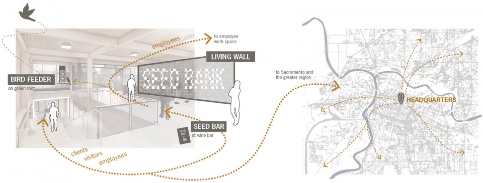2020 asla communications award of excellence the seed bank a new approach to the living wall miridae