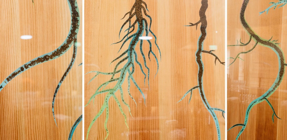 2020 asla communications award of excellence the seed bank a new approach to the living wall miridae