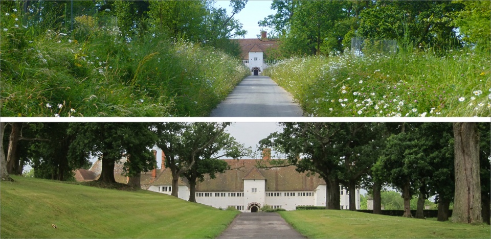 2020 asla residential design award of excellence marshcourt reed hilderbrand