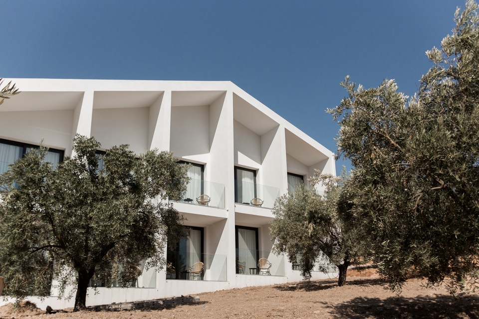 rural hotel in an olive grove by gana arquitectura