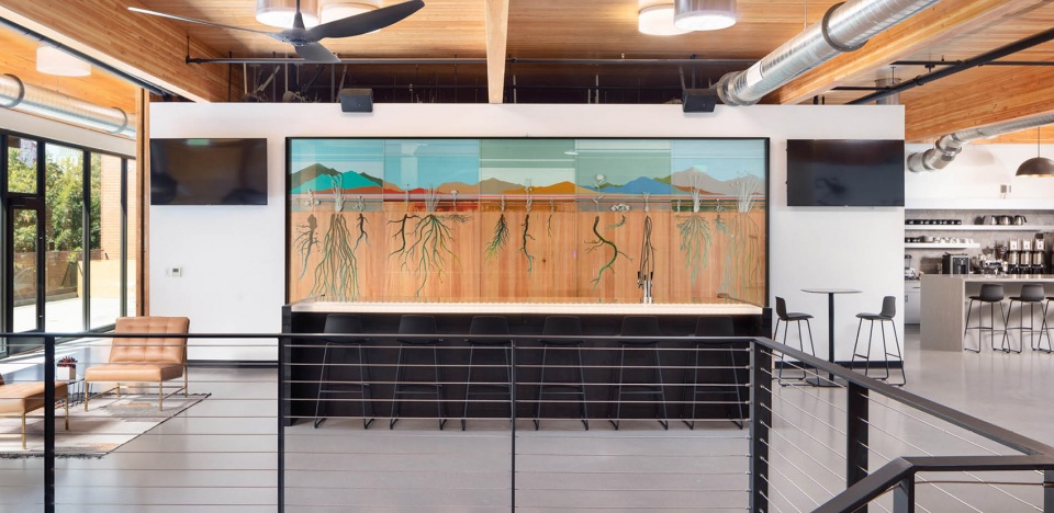 2020 asla communications award of excellence the seed bank a new approach to the living wall miridae