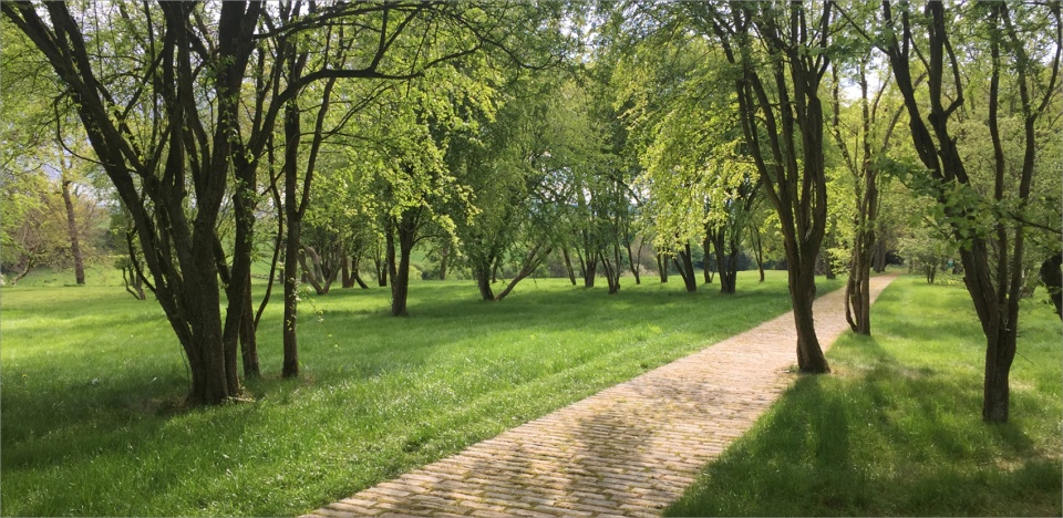 2020 asla residential design award of excellence marshcourt reed hilderbrand