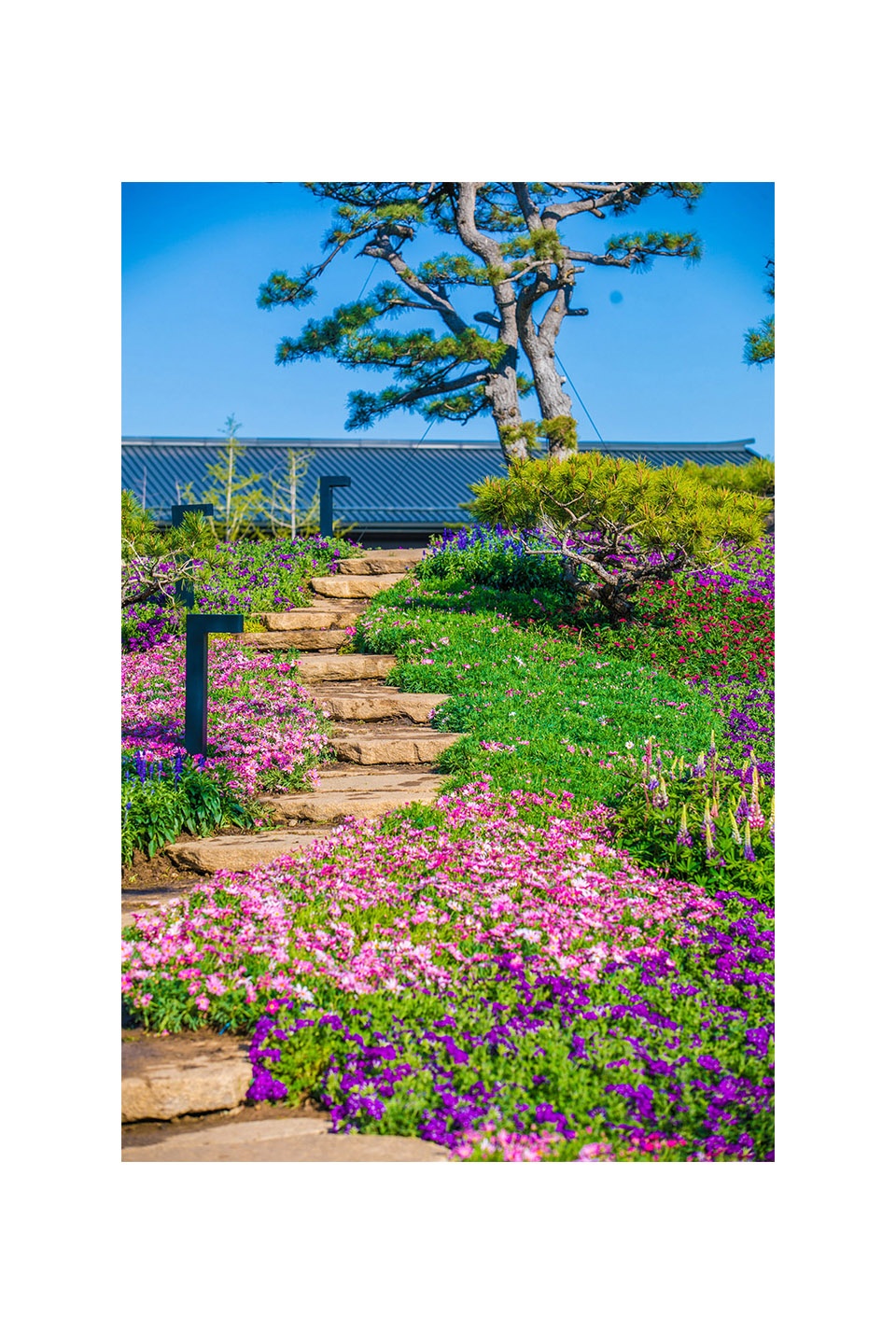 a Landscape Reconstruction Design of the Summer Garden on Yanqi Lake Yuanshu