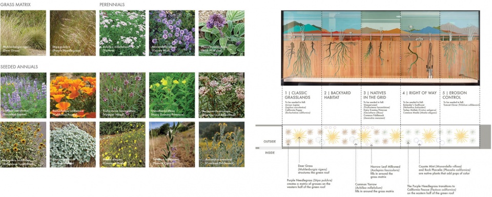 2020 asla communications award of excellence the seed bank a new approach to the living wall miridae
