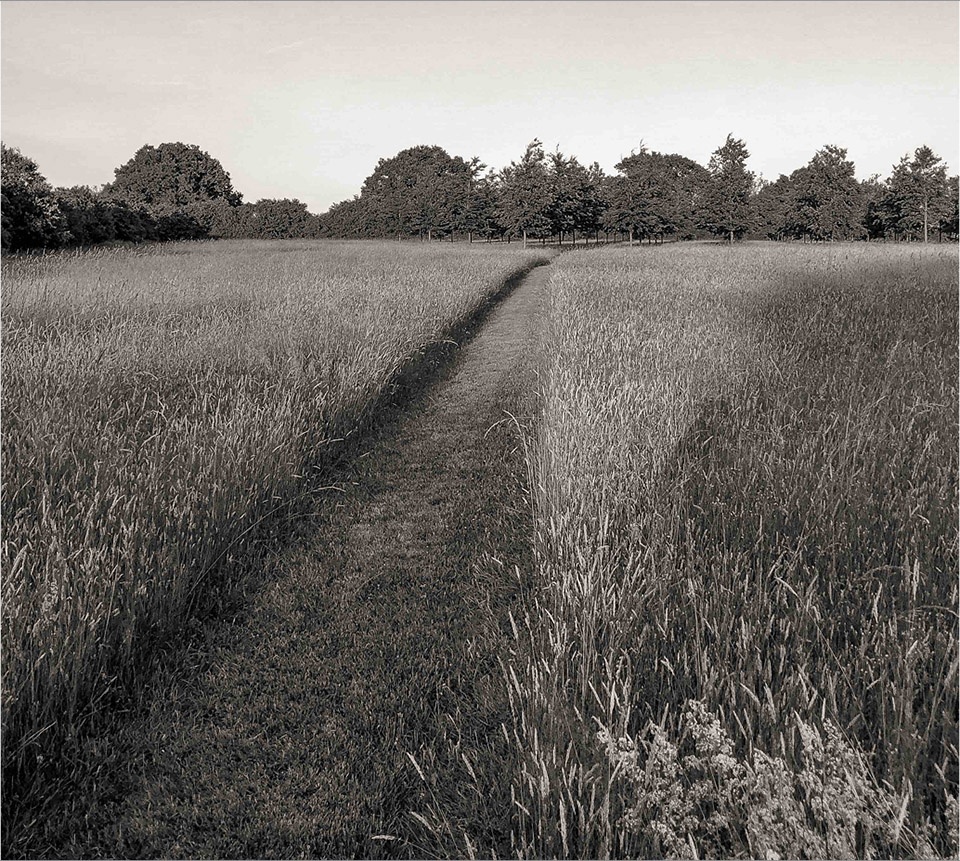 2020 asla residential design award of excellence marshcourt reed hilderbrand