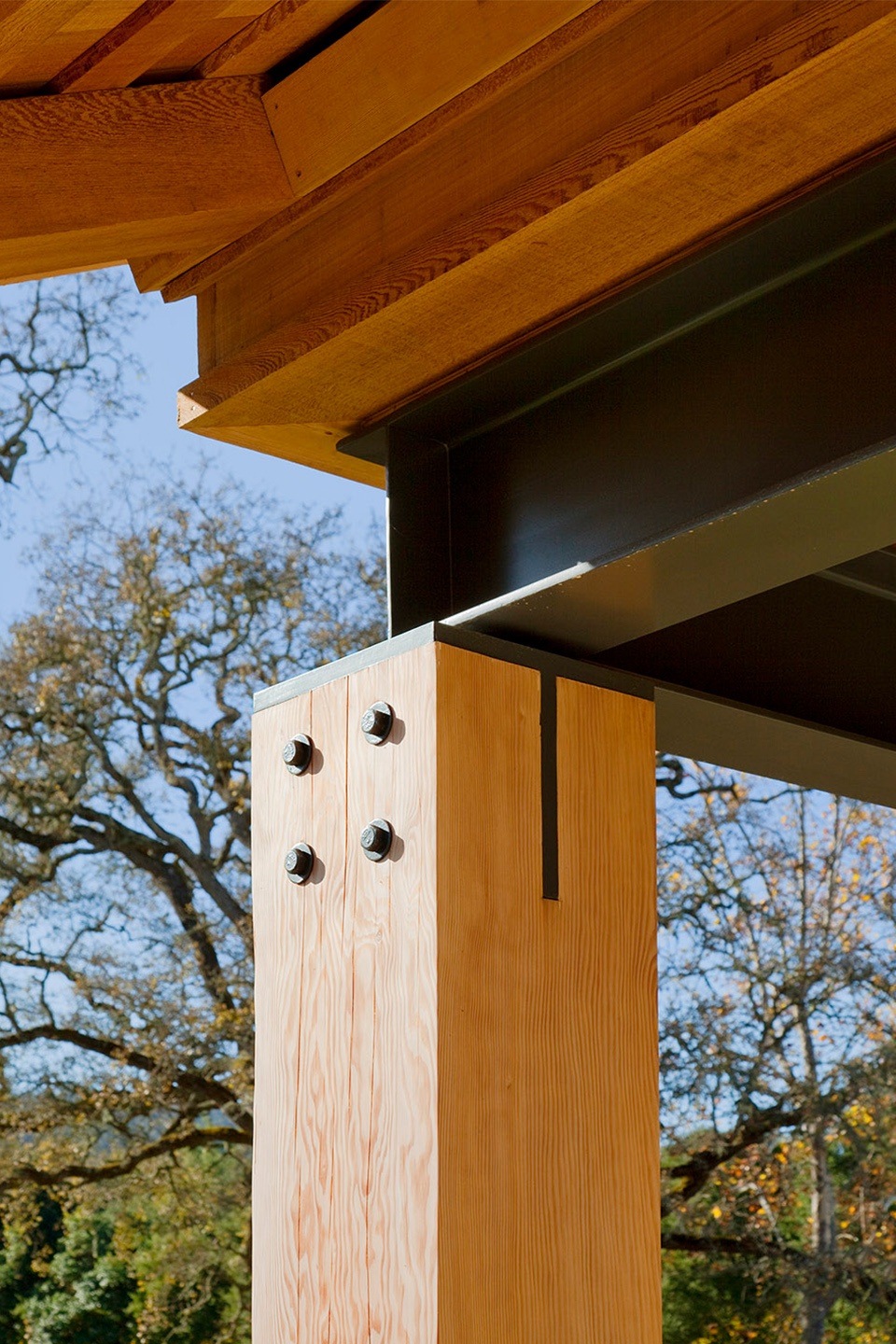 mountain wood by walker warner architects