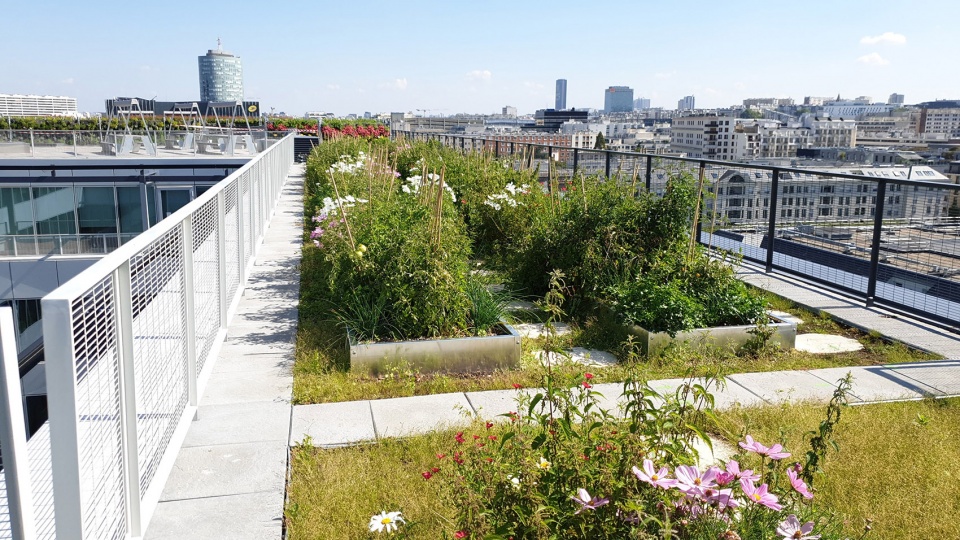 Shift Arte Charpentier Architectes