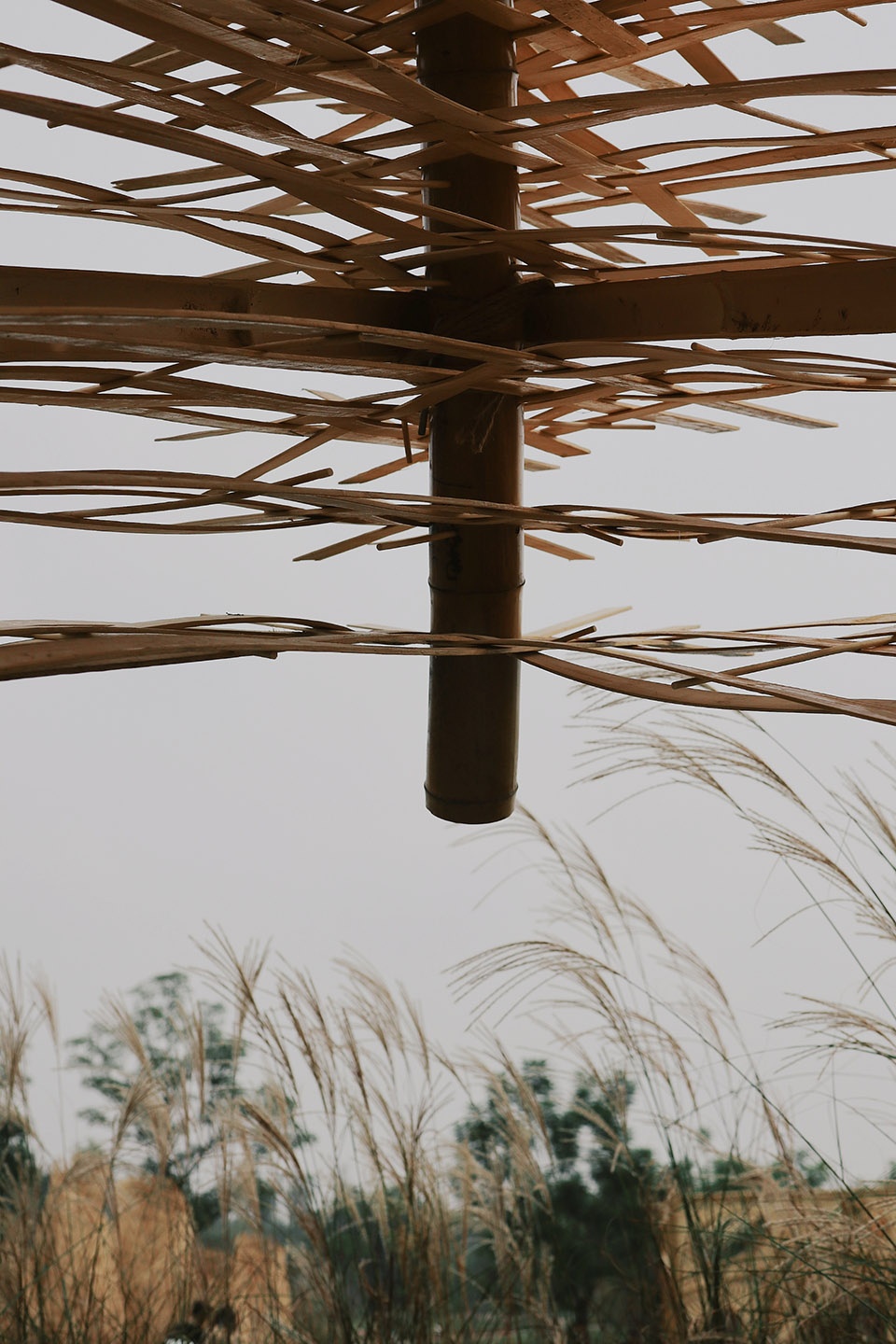 Beilin International Garden Construction Festival 2020
