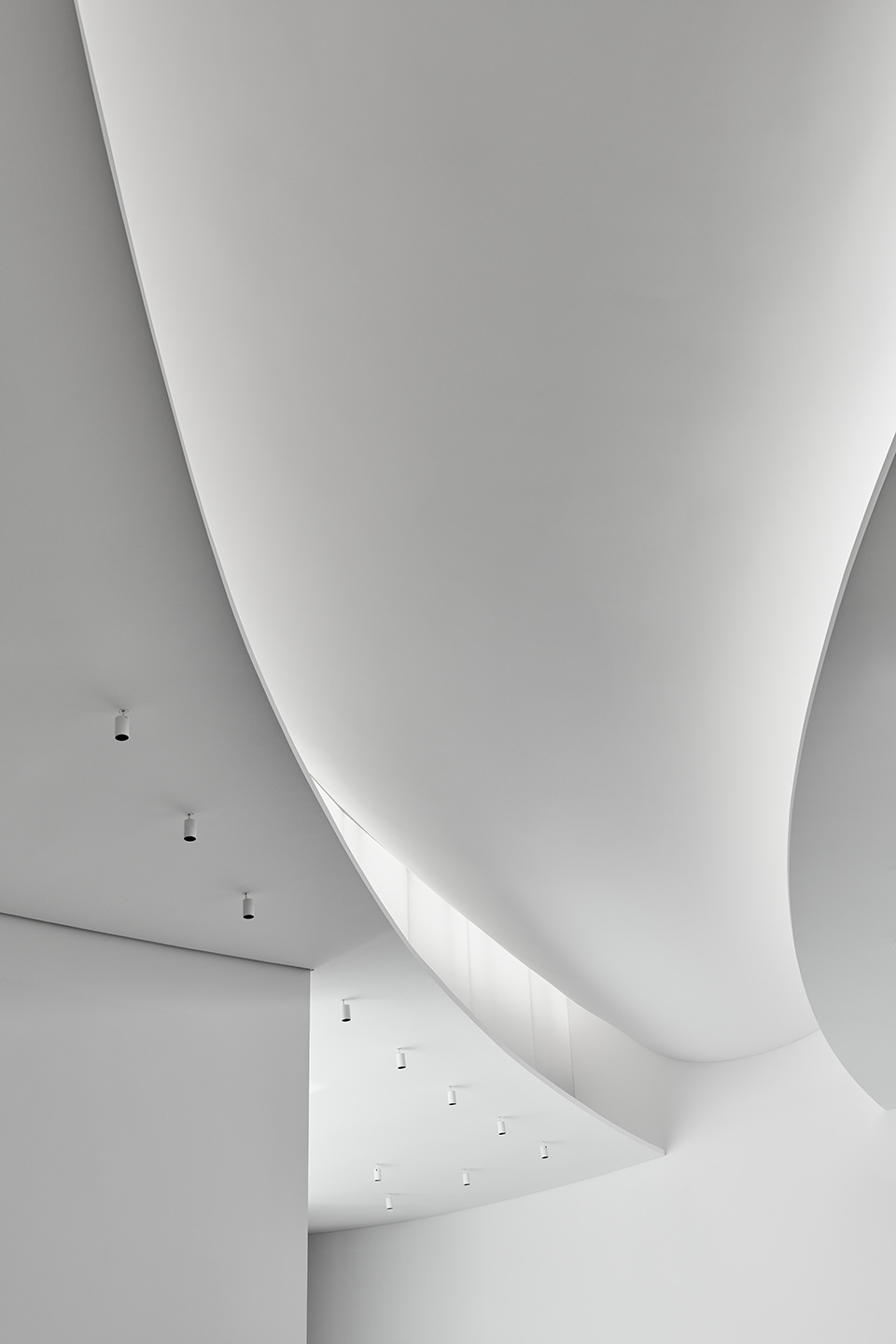 Nancy and Rich Kinder Museum Courtesy Steven Holl Architects